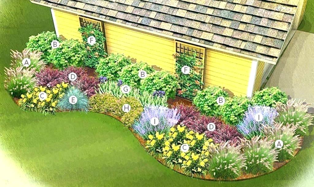 Intuitive and Aesthetic Evergreen Plant Garden Designs For Home Plant Gardens